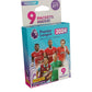 Panini Premier League 2024 Sticker Collection Multi-Set 